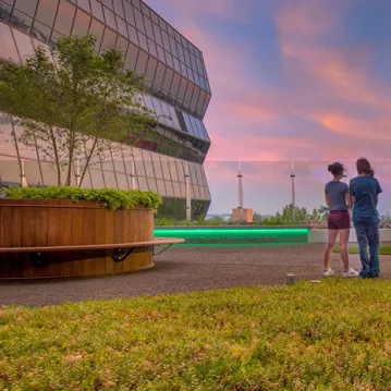 garden at twilight