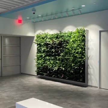 green wall in EPA lobby