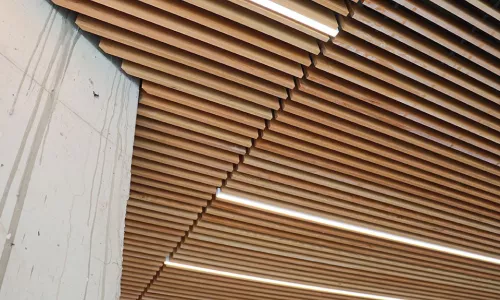 Chemonics wood ceiling detail 