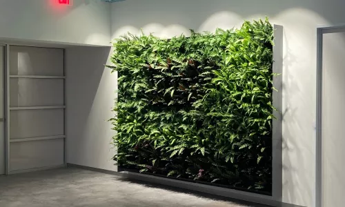 green wall in EPA lobby