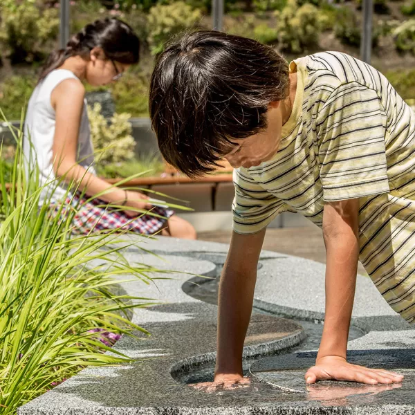 people In garden