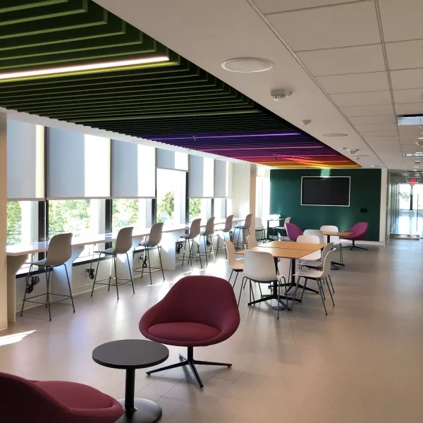 A common room with chairs and a window